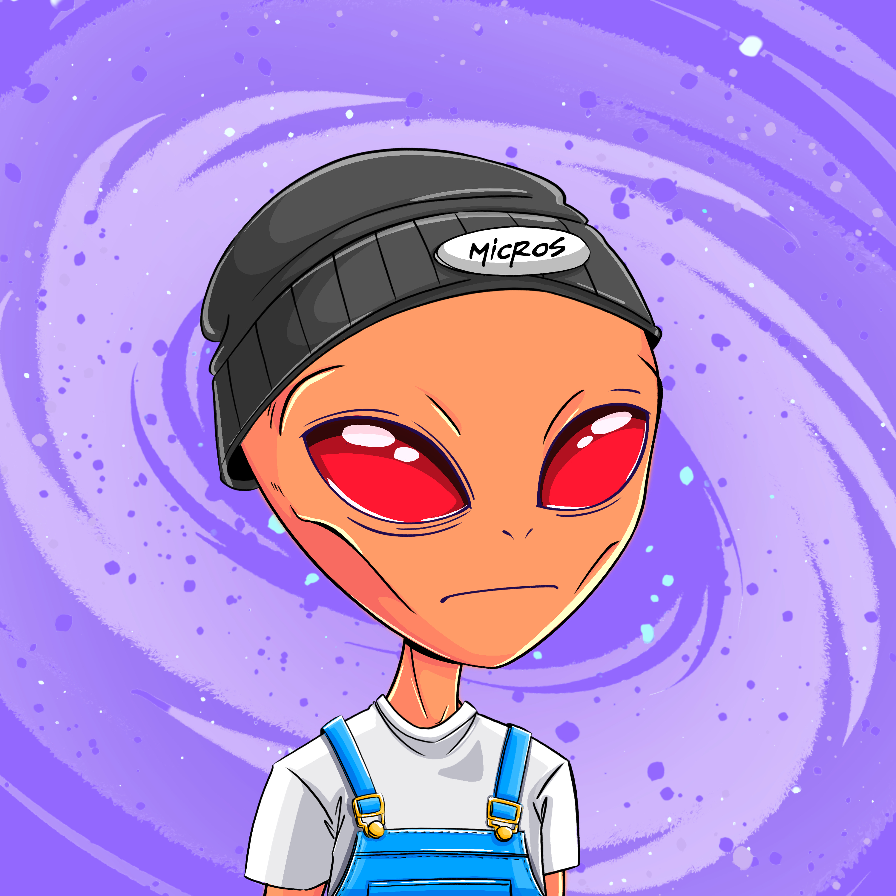 Micros #6011