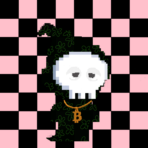 Skoodies #566 NFT image