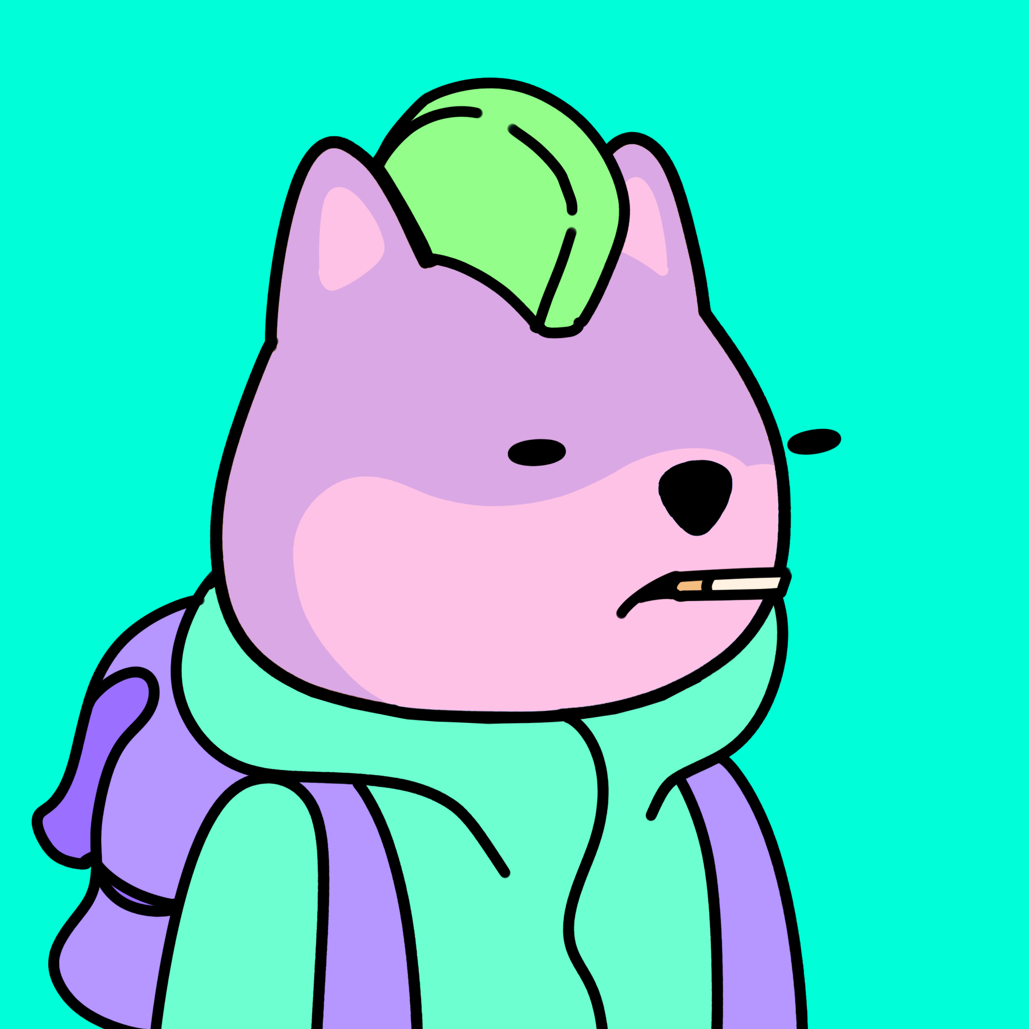 Doodle Bonk #2167 NFT image